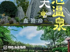 -森波拉火山温泉