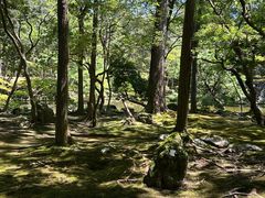 -西芳寺(苔寺)