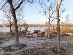 -大港湿地公园