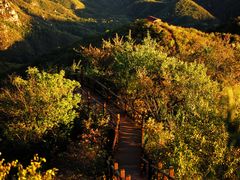 -大岭沟猕猴桃谷风景区