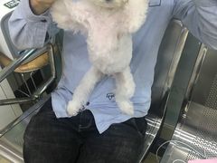 -瑞派动物医院·猫专科·至诚(江南中分院)