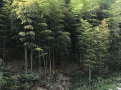 -藏龙百瀑风景区