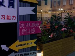 -Darling Queen·Mini·Live·House