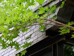 -VOYAGE COFFEE(杨梅竹店)