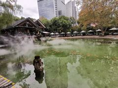 -静安公园(静安寺街道)