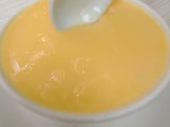 杏汁炖蛋-澳洲牛奶公司(佐敦店)