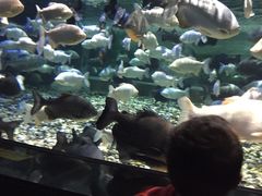 -成都浩海立方海洋公园