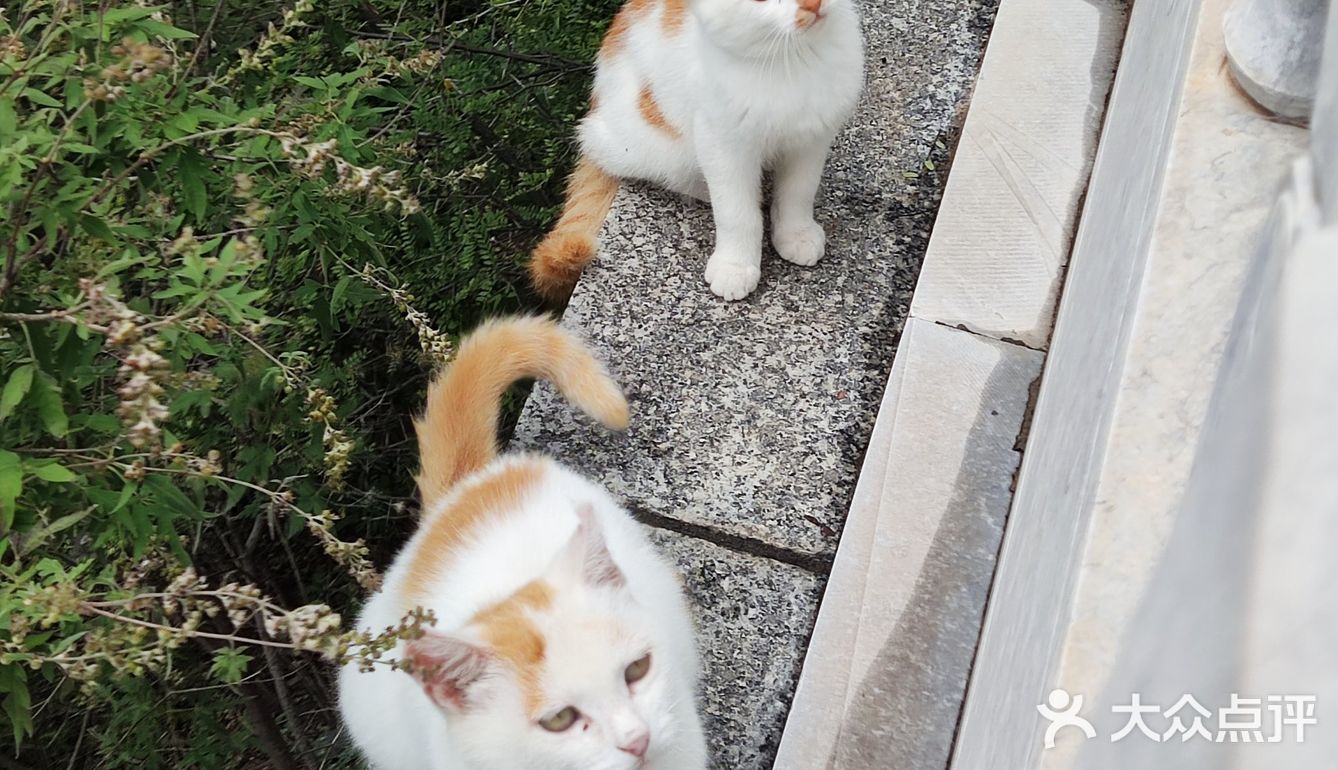 心疼
