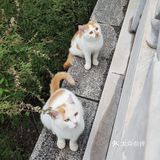 心疼