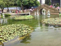 -日月潭