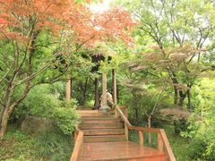 -新江湾城公园