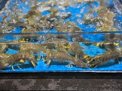 -徐记海鲜(大雁塔|金都店)