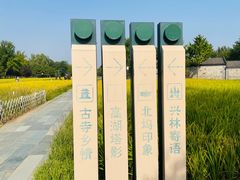 -北坞公园