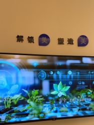 -天津伊美尔医疗整形美容专科医院