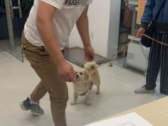 -玖佳宠物医院·泌尿·骨科·中老年病