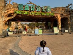 -美的鹭湖探索王国