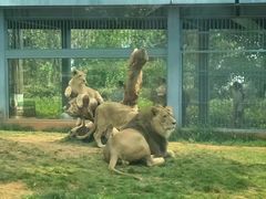 -昆明动物园