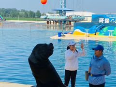 -秦皇岛乐岛海洋王国