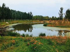 -东郊湿地公园