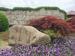 -嘉定紫藤园