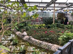 -南宫五洲植物乐园