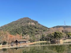 -八卦田遗址公园