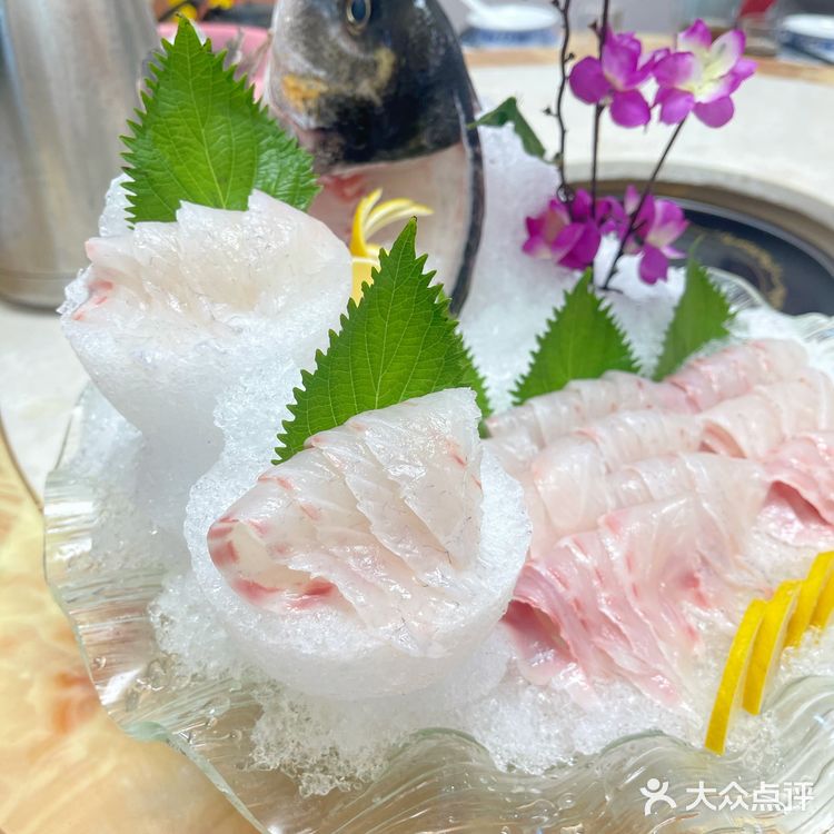 🐟无鱼生不夏天#