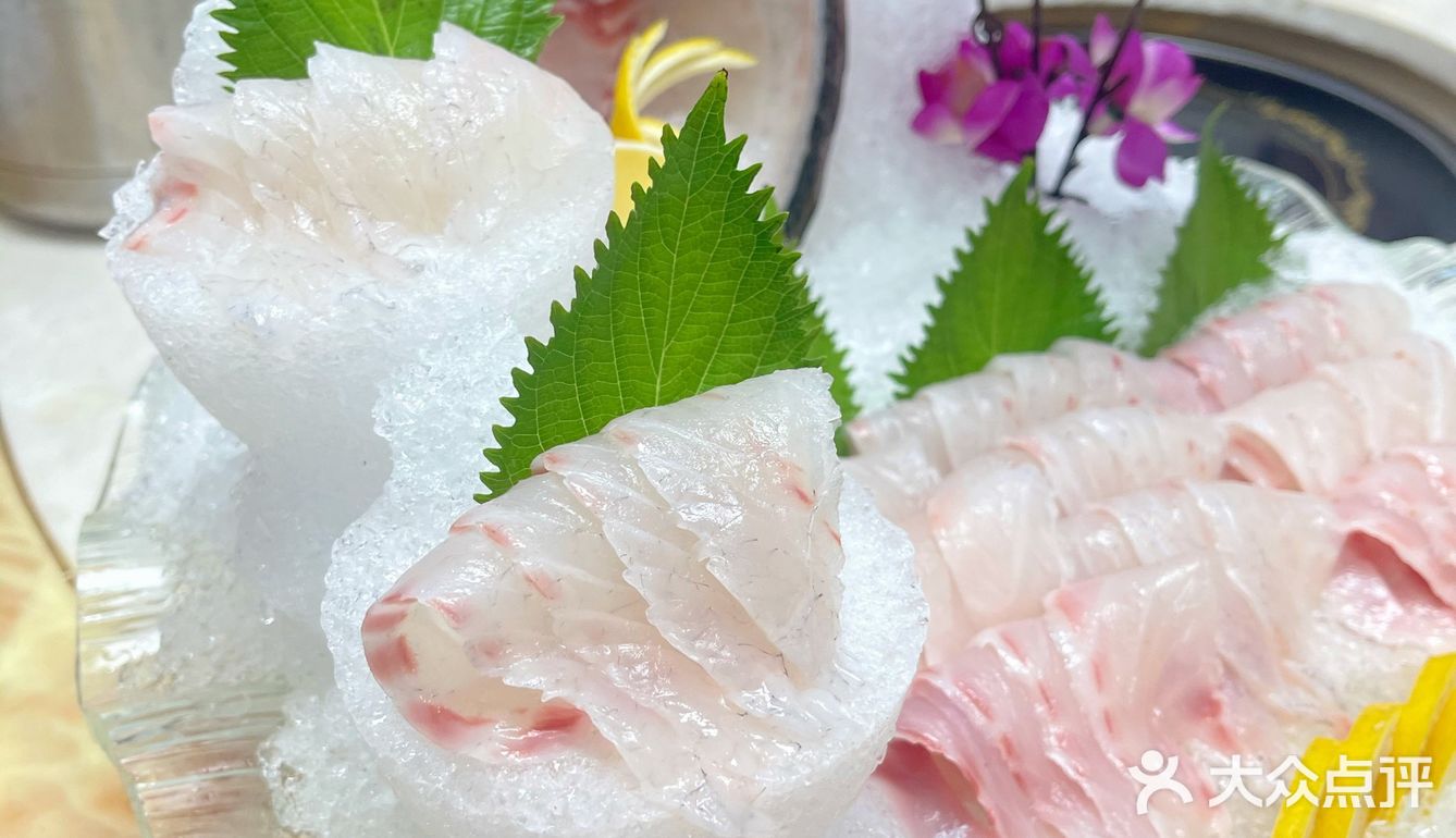 🐟无鱼生不夏天#