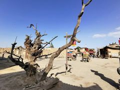 -镇北堡西部影城