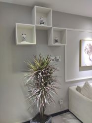 -久匠·野生眉半永久纹眉