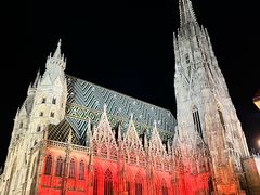 -斯蒂芬主教座堂(Stephansdom)