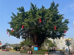-石炮台公园