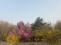 -尚庄度假村·庭台树下·户外烧烤·团建CS·轰趴营地(上庄水库店)