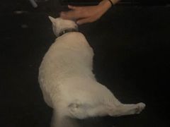 -Doors独立剧情密室(东门分店)