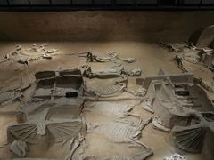 -洛阳周王城天子驾六博物馆