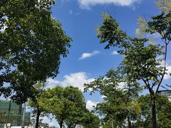 -上海财经大学-新食堂