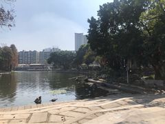 -荔湾湖公园