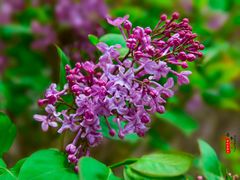 -长春公园(普阳街道)