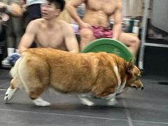 -Stud CrossFit(泰丰大厦店)