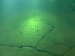 -白鹤梁水下博物馆