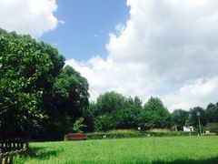 -潮府馆·非遗潮州菜·港式点心(世纪公园店)