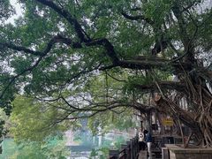 -小洲村