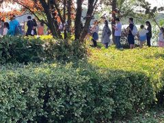 -苏州太湖国家湿地公园
