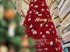 -鹍记特色牛杂面