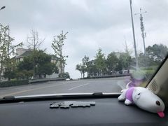 -铁山坪森林公园