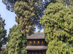 -报恩寺(平武县)