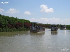 -大湾区中央湿地公园