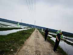 -湖南东洞庭湖国家级自然保护区
