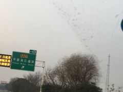 -平望服务区·停车场