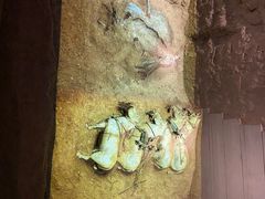 -秦始皇帝陵博物院-丽山园